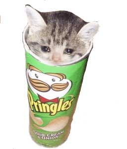 Pringles cat