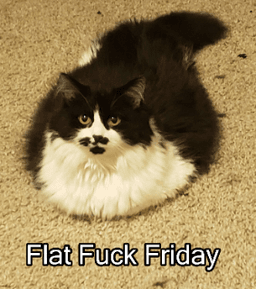 Flat Fuck Friday Bindi