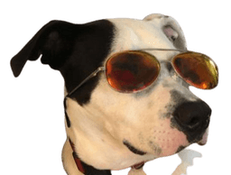 TildoCool