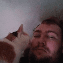 weed cat