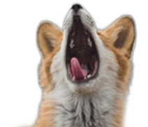AHHHHHHHHHHHHHHHHHHHHHH