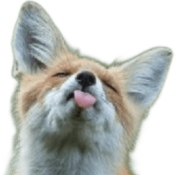 Fox mlep