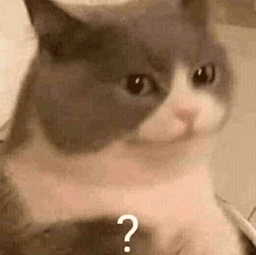 What?