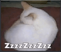 zzz
