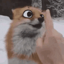 LP_boop