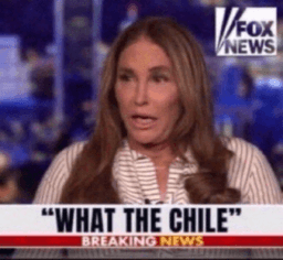 WHAT THE CHILE  .gg/owo