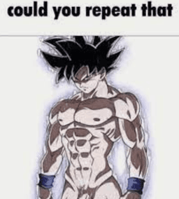 could you repeat that?