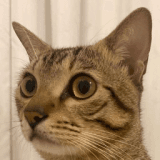 side eye