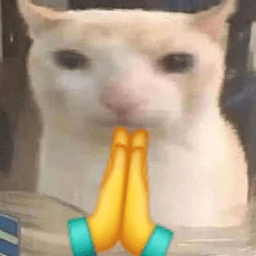 cat pray