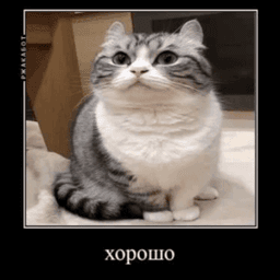 Окей