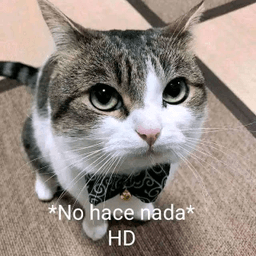 No hace nada gg/Inmoralityhome