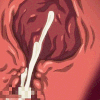 Cum .gg/hentaiDungeon 