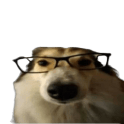 Dog Nerd