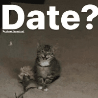 wanna date with me?