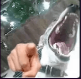 Q pendejo el deft