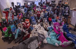 furry2