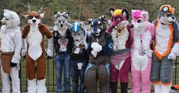 furry3