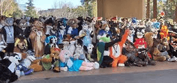 furry5