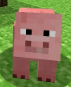 BruhPig