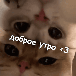 доброе утро, ханни