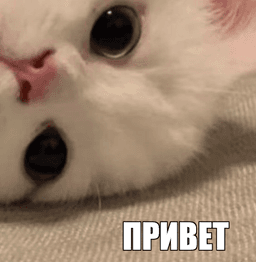 приветики :З