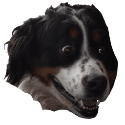 DogShock