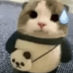 Panda cat
