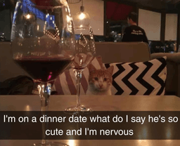 Dinner Date Embarrassed 