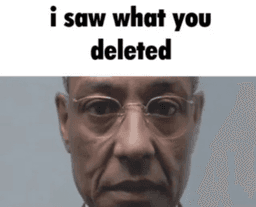 IsawWhatYouDeleted