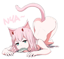 nyaa