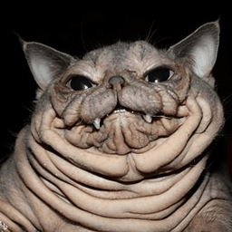 BFFR (.gg/dysphoria)