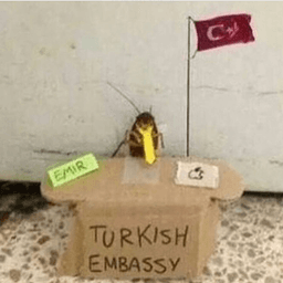 Turkish Embassy