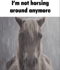 horsing