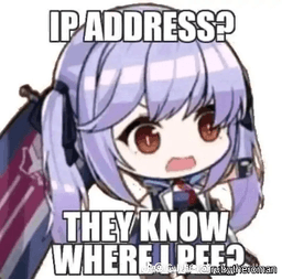 ip address