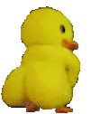 EK_Duck Twerking