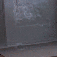 gato pared