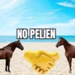 no pelien