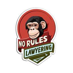noruleslawyering