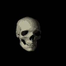 skull