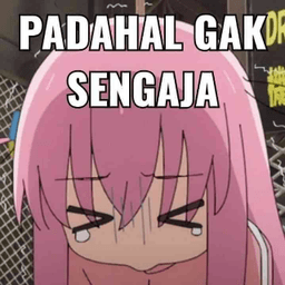 Gak sengaja