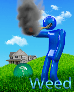 Weed