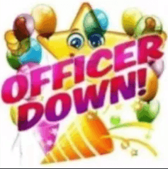 OFFICER DOWN