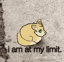 i am at my limit