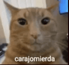 carajo staff de mierda