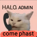 cat_hello_phast