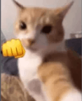 Punch out