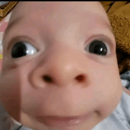 Bobão