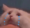 cat sobbing | gg/crys