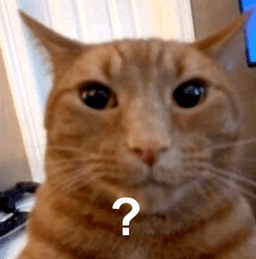 ???