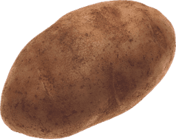 Pototo